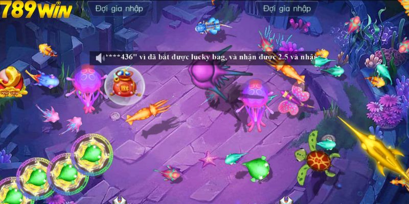 Khám quá quy trình chơi game bắn cá H5 chi tiết cho bạn mới 