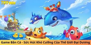 Khám phá sức hút khó cưỡng của thế giới đại dương.